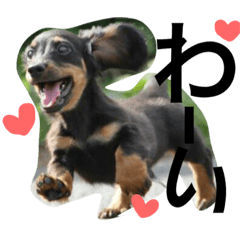 [LINEスタンプ] dog s.