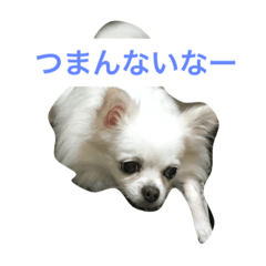 [LINEスタンプ] もかもかぽっけ2