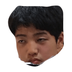[LINEスタンプ] 妖精族たち