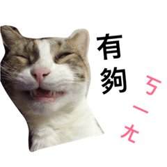 [LINEスタンプ] Fourpeepcats