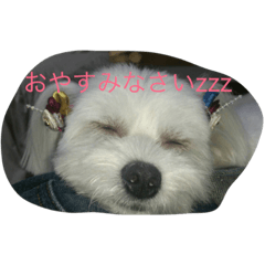 [LINEスタンプ] 村山さんちのもかちゃん2