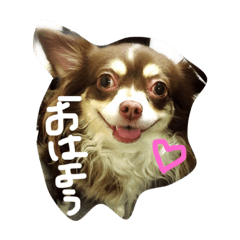 [LINEスタンプ] ジュエラちゃんの日常♡