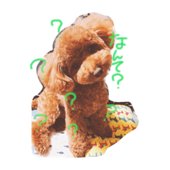 [LINEスタンプ] くうちゃん1の4