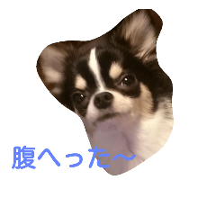 [LINEスタンプ] RIKU ＆MIMI