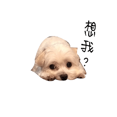 [LINEスタンプ] Wawa is me