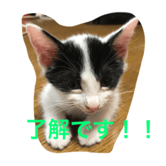 [LINEスタンプ] ネロ＆モク 2
