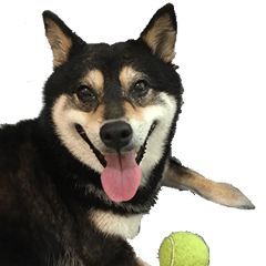 [LINEスタンプ] Black ShibaInu-happy's normal life