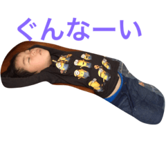 [LINEスタンプ] ハルちょ