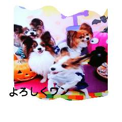 [LINEスタンプ] rikufamilyHalloween