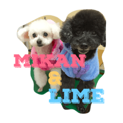 [LINEスタンプ] mikan♡lime
