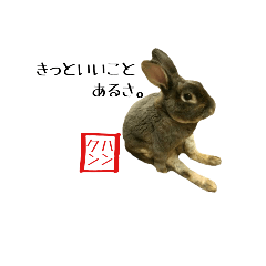Rabbit Hankun