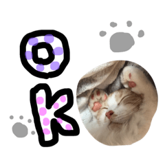 [LINEスタンプ] すーさんスタンプ2