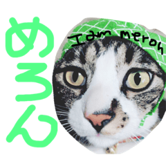 [LINEスタンプ] 猫めろん