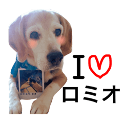 [LINEスタンプ] 愛犬「ロミオ爺さん」