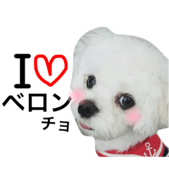 [LINEスタンプ] 愛犬「レオン」（通称ベロンチョ♬）