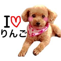 [LINEスタンプ] 愛犬 りんごちゃん