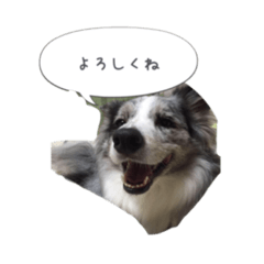 [LINEスタンプ] るいちゃんの日常〜ときどきゆう君〜