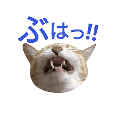 [LINEスタンプ] 光国先輩