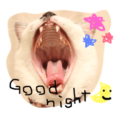 [LINEスタンプ] MugiKotetsu ＆nakamatathi