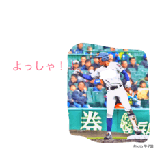 [LINEスタンプ] TAISEI.Y