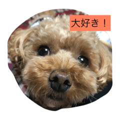 [LINEスタンプ] 春雄と一緒