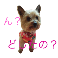 [LINEスタンプ] mochas stamp2