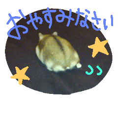 [LINEスタンプ] らんまるカフェ