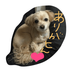 [LINEスタンプ] 俺の物は俺の物。お前の物も俺の物。