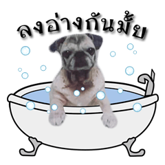 [LINEスタンプ] NongKaitom