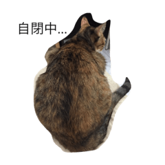 [LINEスタンプ] Lazy Love Neko