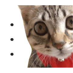 [LINEスタンプ] くるくるくるぶし