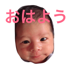 [LINEスタンプ] syokun