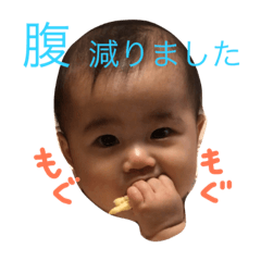 [LINEスタンプ] うちのこ陽菜ちゃん