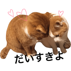 [LINEスタンプ] おじぷさんファミリー2