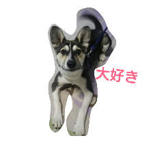 [LINEスタンプ] タッチー