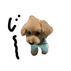 [LINEスタンプ] 我がミルク