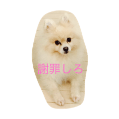[LINEスタンプ] 犬と男のスタンプ