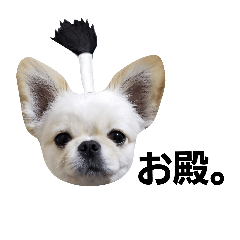 [LINEスタンプ] ペキチワおでんくん
