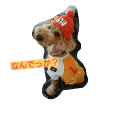 [LINEスタンプ] chamu love