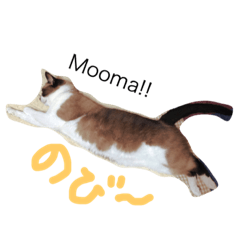 [LINEスタンプ] シャム猫のムーは自宅警備員！追加版