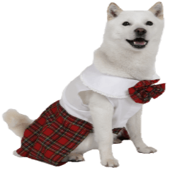 [LINEスタンプ] 白い犬桜花の日常