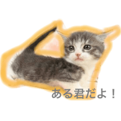 [LINEスタンプ] ある君だよ