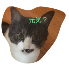 [LINEスタンプ] sorakunn