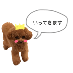 [LINEスタンプ] こちゃひじ2