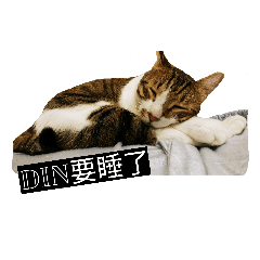 [LINEスタンプ] Din Din Fever 