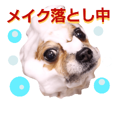 [LINEスタンプ] コスプレ ポメラニアンDuffy6