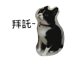 [LINEスタンプ] Pobi