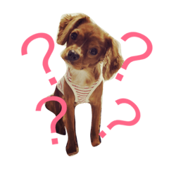 [LINEスタンプ] ともきち108