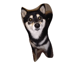 [LINEスタンプ] fumikotomakoto