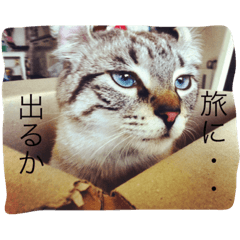 [LINEスタンプ] Curl curl 1